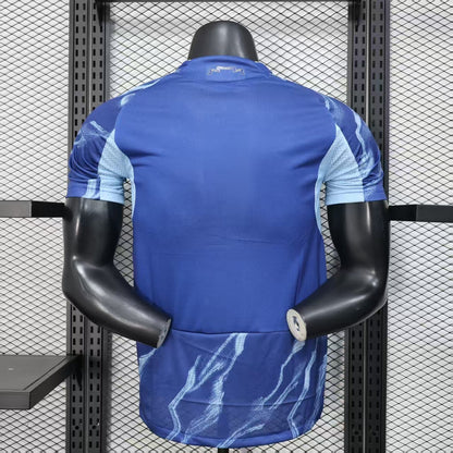 Ajax 2025-26 Away Kit 