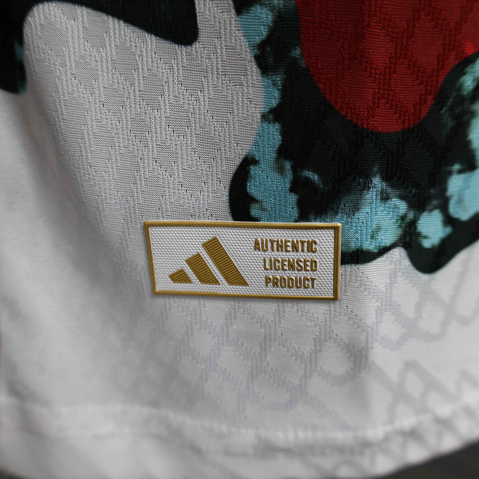 2024-25 Bayern Munich Pre-Match Shirt [Player Version] - Retro Classic Kits
